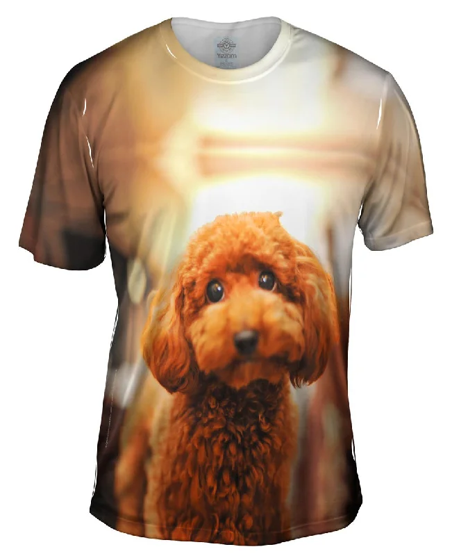 Men's mock - neck t - shirts with a modern and sleek styleToy Poodle Droopy Eyes